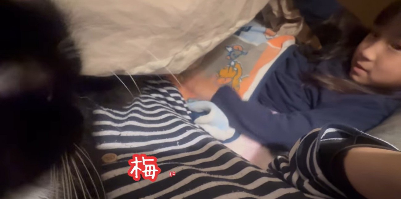 布団に潜り込んでいる猫と呼んでいる子ども