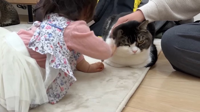 タッチされるうま次郎くん