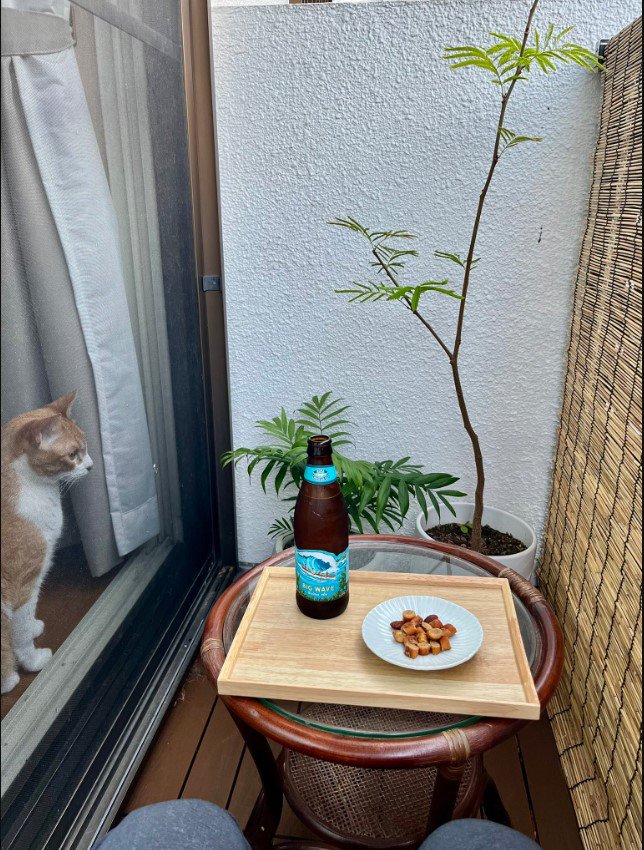 晩酌を見ている猫