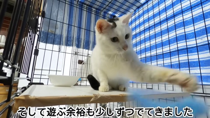 テロップ「そして遊ぶ余裕も~」