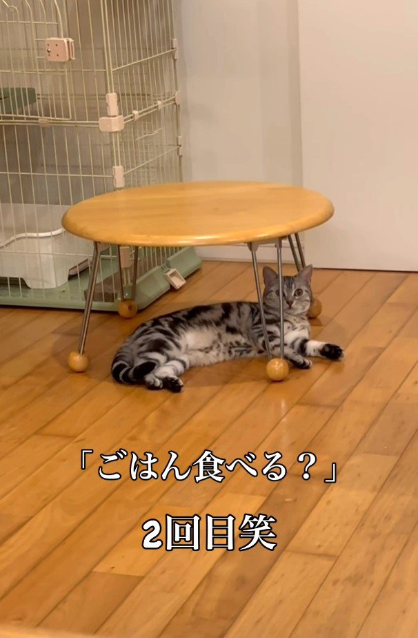 もう一度声をかけるパパ