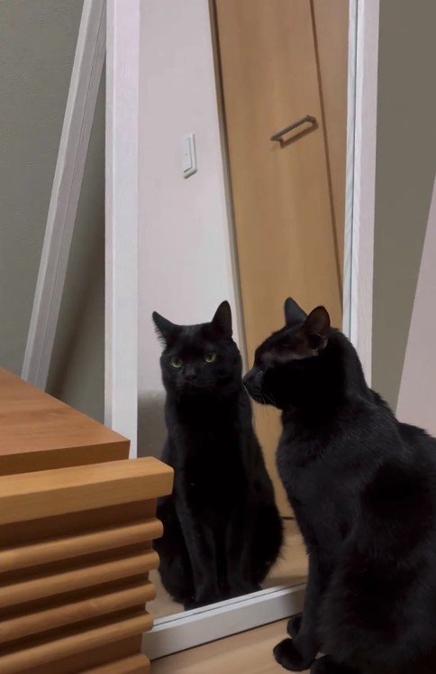 鏡に映った虎徹くん