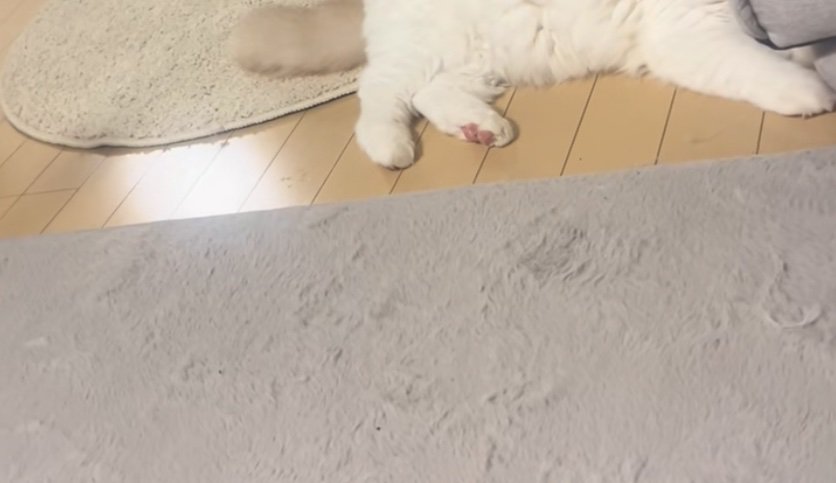 床