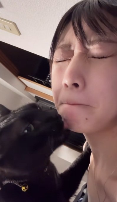 飼い主の顔をなめる黒猫と飼い主
