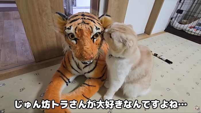 テロップ「じゅん坊~」