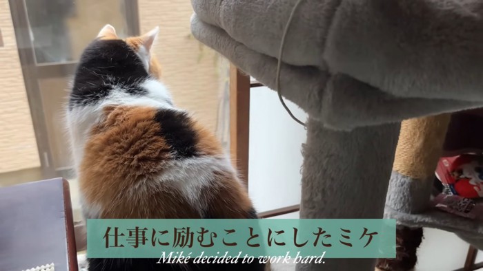 テロップ「仕事に励む~」
