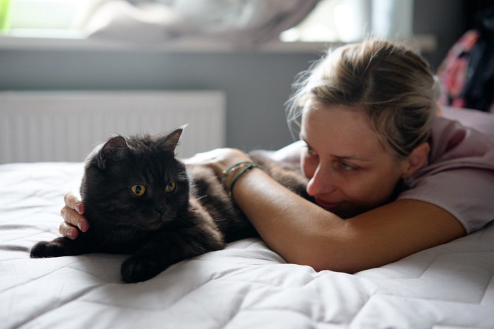 飼い主に寄り添う猫