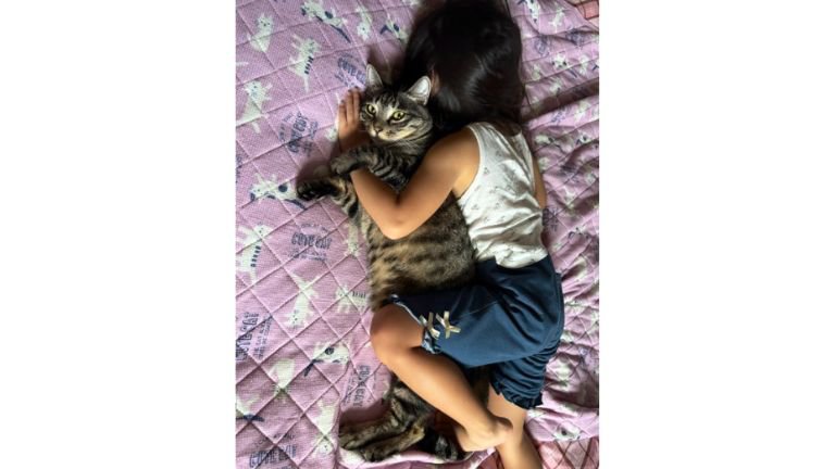 猫を抱いている女の子