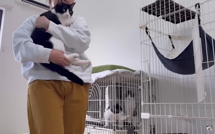 連れ出されるかんたろう