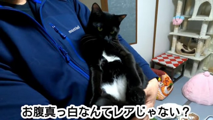 パパに抱っこされる黒猫