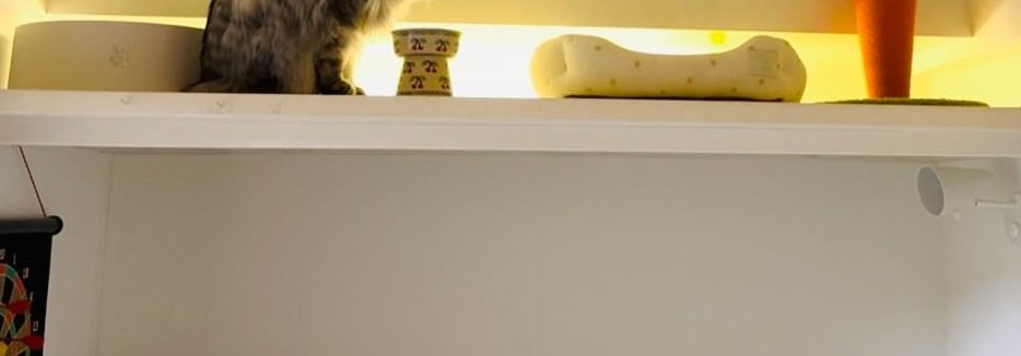 DIYした猫部屋の下部分