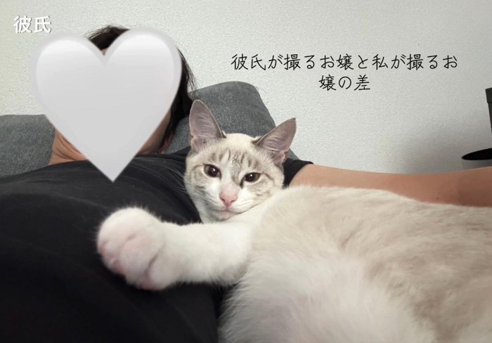 飼い主の脇に頭をのせてくつろいでいるカメラ目線の猫