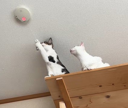 赤く光る火災報知器