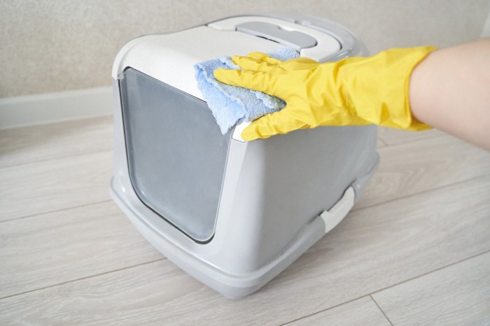 猫トイレ掃除