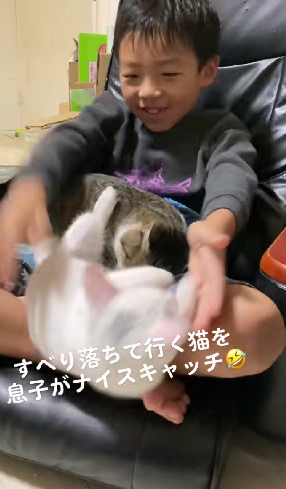 男の子の膝から落ちる猫