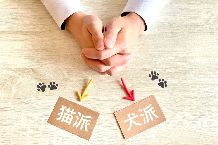 犬派と猫派。迷うイメージ