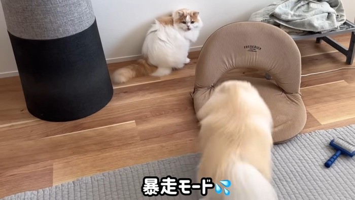 「暴走モード」