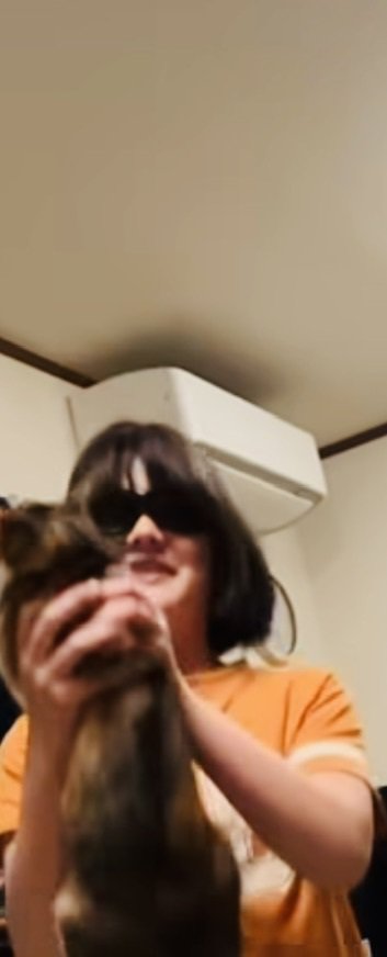 飛んできた三毛猫をキャッチする娘さん