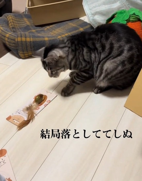 おもちゃを落とすファミマルちゃん