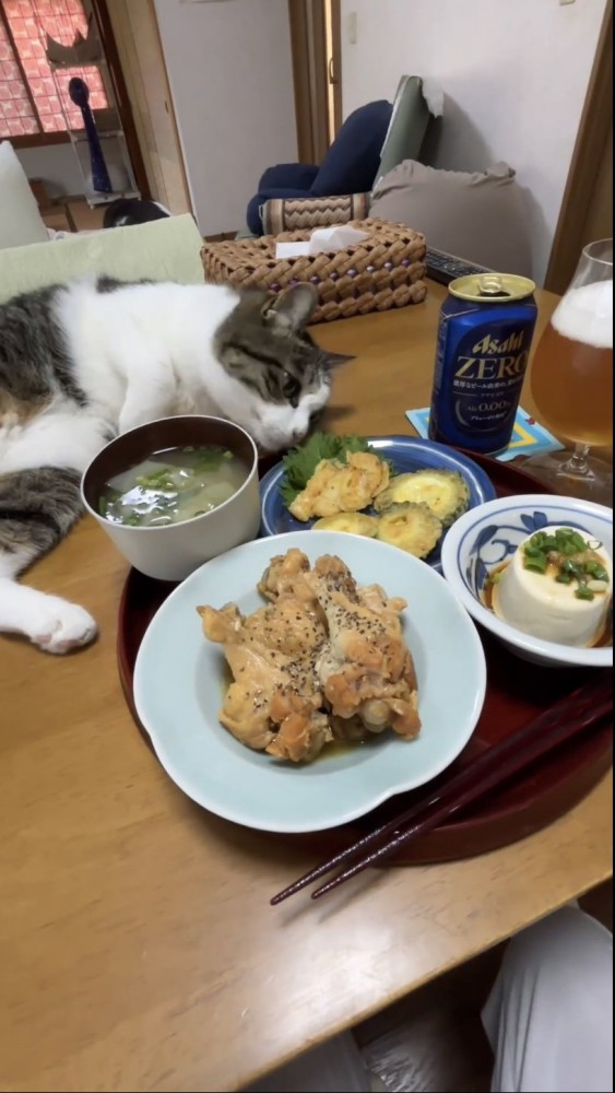 食卓で寝転がる猫