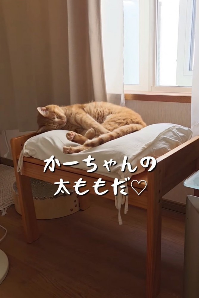 クッションに頭を擦り付ける