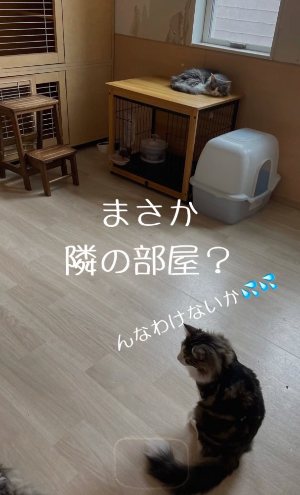 隣の部屋