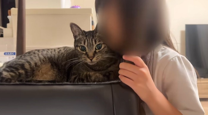 猫にキスする女の子