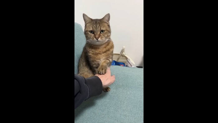 正面を向いてタッチ