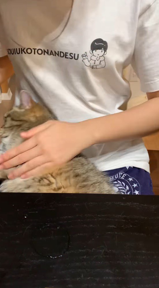 猫の背中をもう一方の手で触る女性