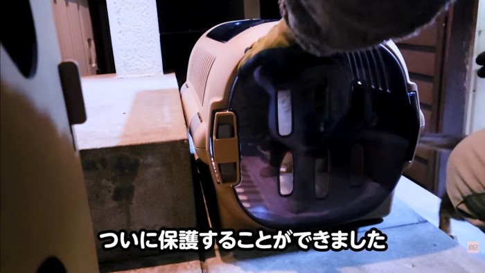 テロップ「ついに保護~」