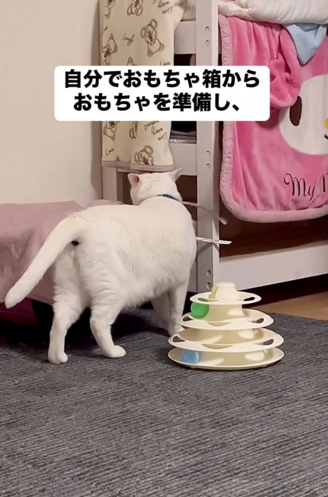 おもちゃ箱を漁る猫