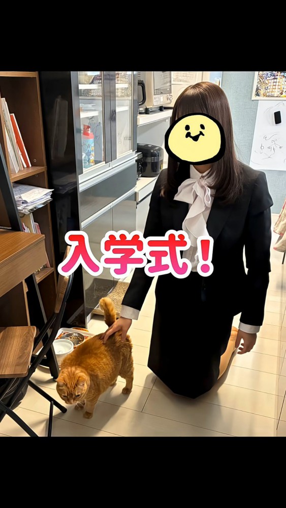 大学生と猫