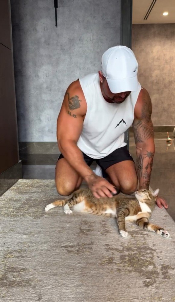 ブラッシングされながら飼い主の方を見る猫