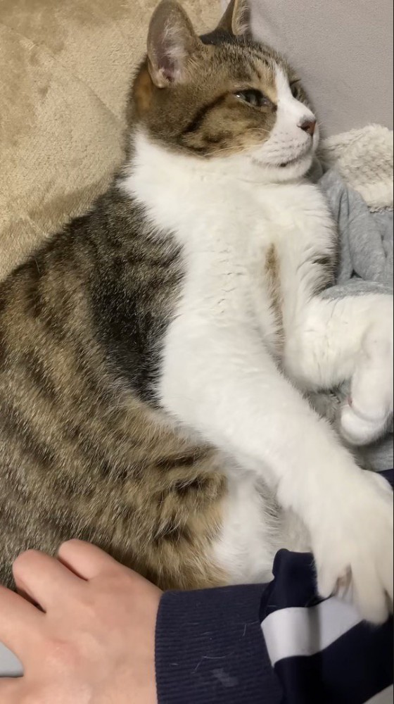 手を抑えるミックくん