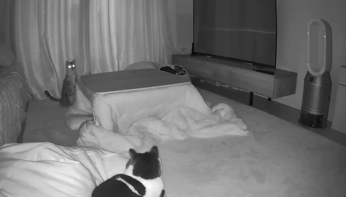 立ち上がるそらくん