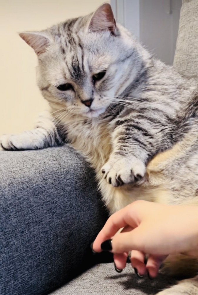 ママに向かってパーするジェネッタ