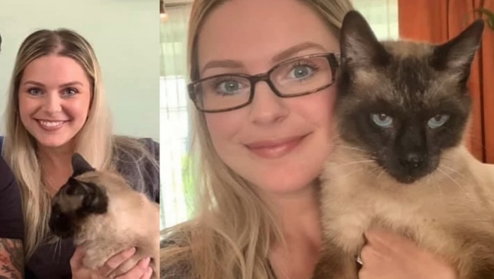 シャム猫と女性