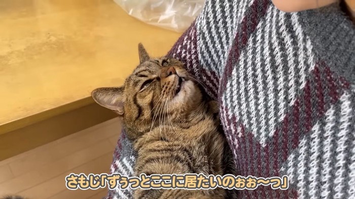 ずぅっとここに