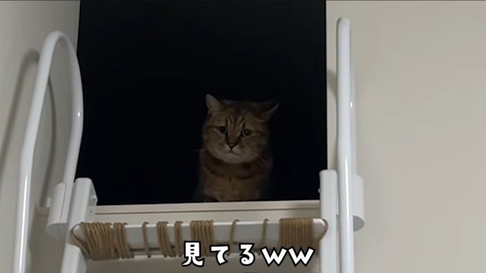 ロフトから確認するみにら君2