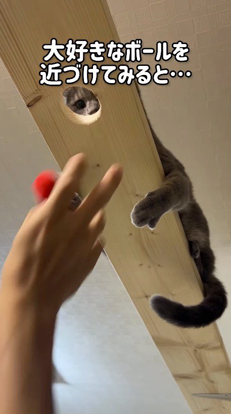 キャットウォークの穴から落ちるボール