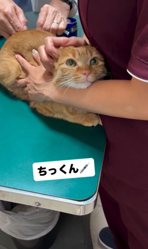 「ちっくん」と書かれた写真