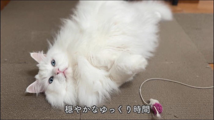 テロップ「穏やかな～」