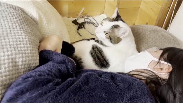 起き上がろうとする猫