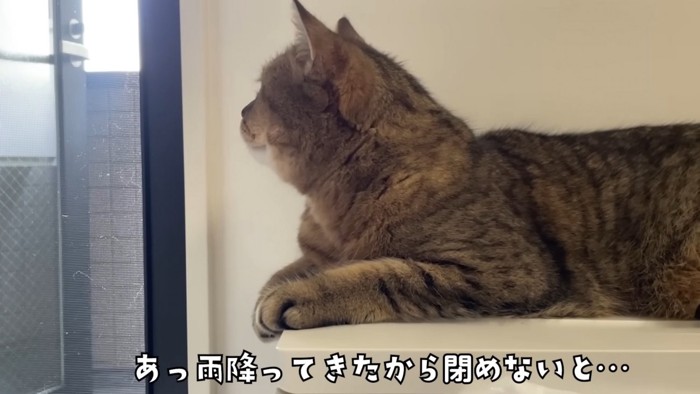 雨が降ってきたので窓を閉めないと…