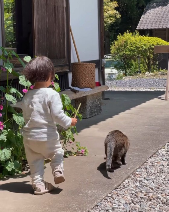 歩く猫と子ども