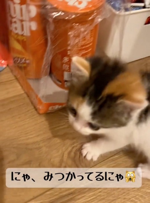 振り返ってイタズラを止める