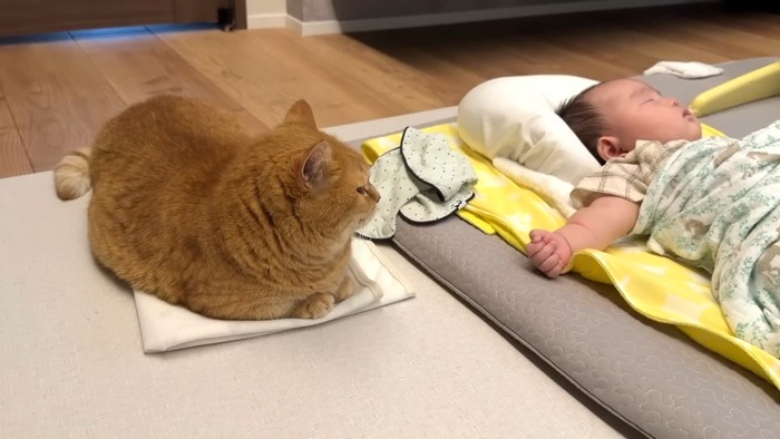 赤ちゃんを見つめる姿