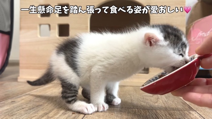 一生懸命足を踏ん張って