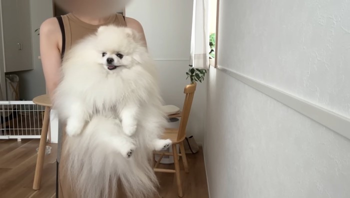 抱っこされるポテチくん