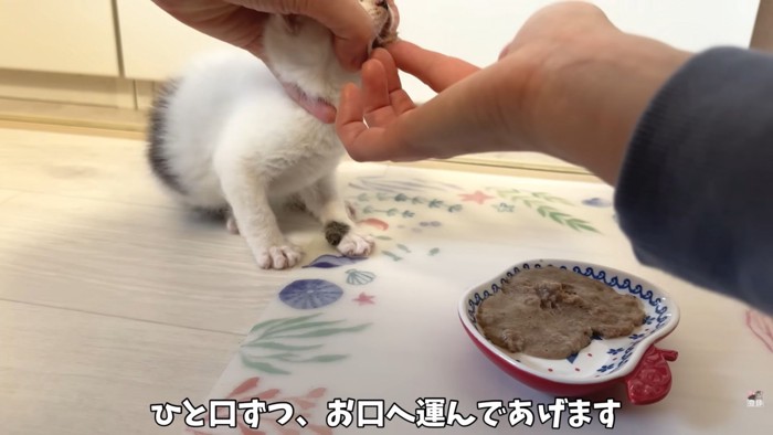 テロップ「一口ずつ、」